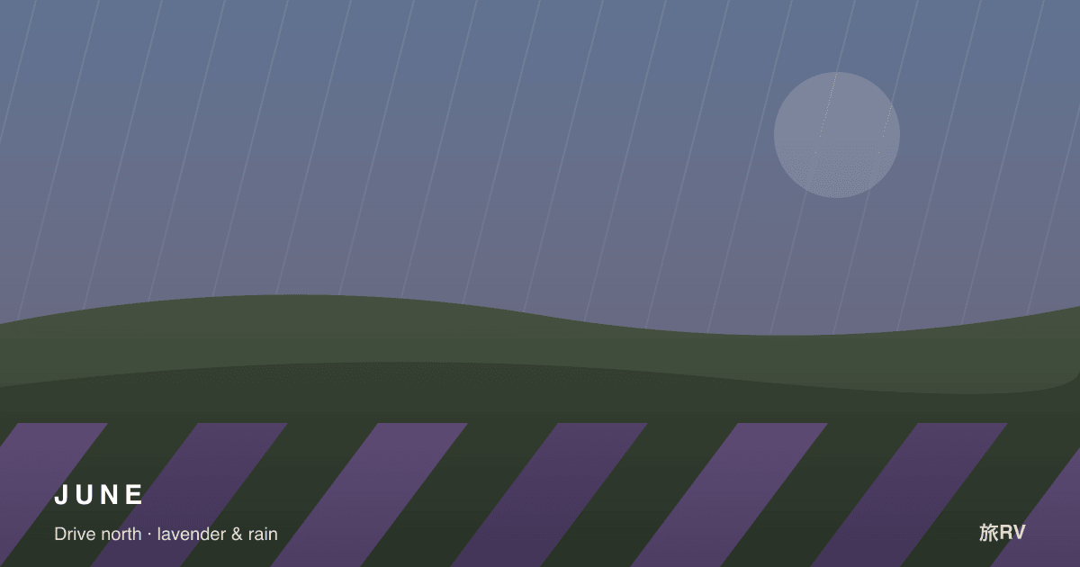 June: Driving North, Where the Light Stays Dry